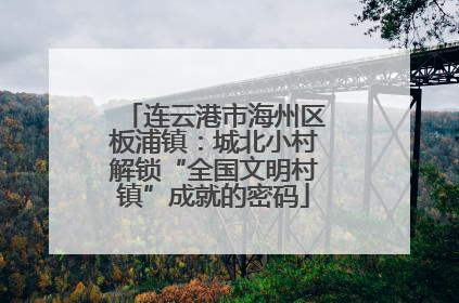 连云港市海州区板浦镇：城北小村解锁“全国文明村镇”成就的密码