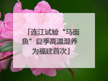 连江试验“马面鱼”夏季高温混养 为福建首次