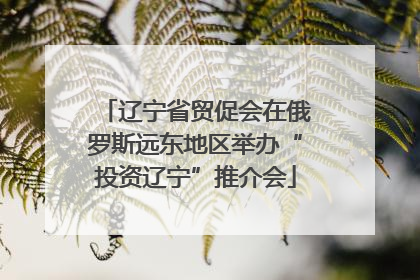 辽宁省贸促会在俄罗斯远东地区举办“投资辽宁”推介会