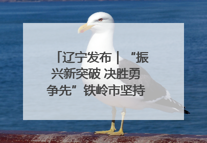 辽宁发布｜“振兴新突破 决胜勇争先”铁岭市坚持“项目为王”推进经济高质量发展