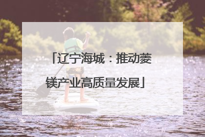 辽宁海城：推动菱镁产业高质量发展