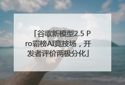 谷歌新模型2.5 Pro霸榜AI竞技场，开发者评价两极分化