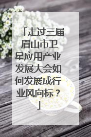 走过三届 眉山市卫星应用产业发展大会如何发展成行业风向标？