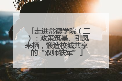 走进常德学院（三）：政策筑基、引凤来栖，锻造校城共享的“双师铁军”