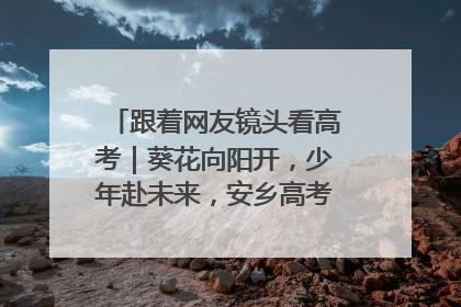 跟着网友镜头看高考｜葵花向阳开，少年赴未来，安乡高考首日的希望图景