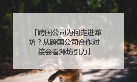 跨国公司为何走进潍坊？从跨国公司合作对接会看潍坊引力