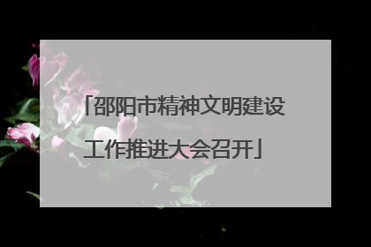邵阳市精神文明建设工作推进大会召开