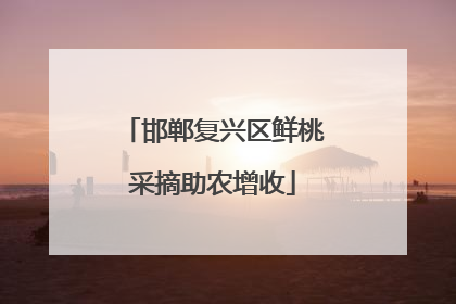邯郸复兴区鲜桃采摘助农增收