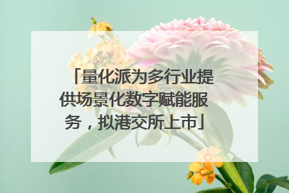 量化派为多行业提供场景化数字赋能服务，拟港交所上市