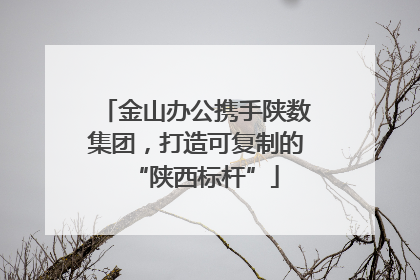 金山办公携手陕数集团，打造可复制的“陕西标杆”