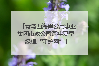 青岛西海岸公用事业集团市政公司筑牢夏季绿植“守护网”