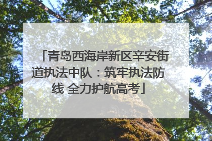 青岛西海岸新区辛安街道执法中队：筑牢执法防线 全力护航高考
