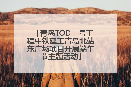 青岛TOD一号工程中铁建工青岛北站东广场项目开展端午节主题活动