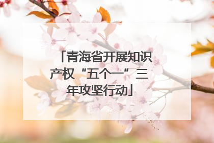 青海省开展知识产权“五个一”三年攻坚行动
