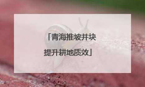 青海推坡并块提升耕地质效