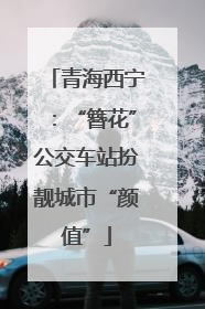青海西宁：“簪花”公交车站扮靓城市“颜值”
