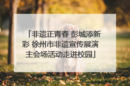 非遗正青春 彭城添新彩 徐州市非遗宣传展演主会场活动走进校园
