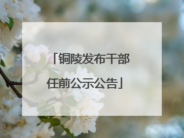 铜陵发布干部任前公示公告