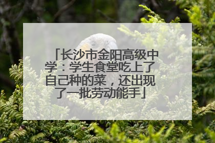 长沙市金阳高级中学：学生食堂吃上了自己种的菜，还出现了一批劳动能手