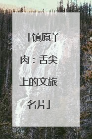 镇原羊肉：舌尖上的文旅名片