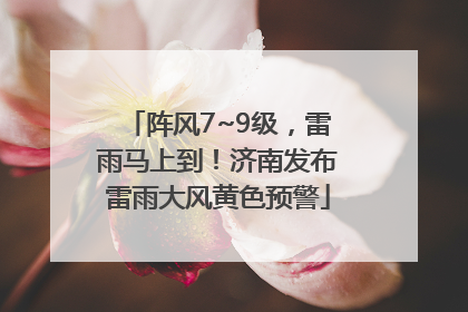阵风7~9级，雷雨马上到！济南发布雷雨大风黄色预警
