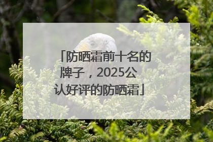 防晒霜前十名的牌子，2025公认好评的防晒霜