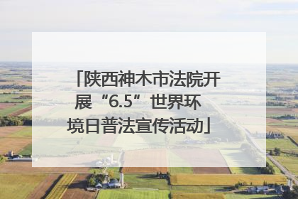 陕西神木市法院开展“6.5”世界环境日普法宣传活动