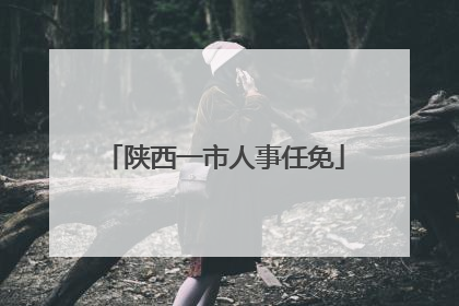 陕西一市人事任免