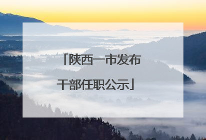 陕西一市发布干部任职公示