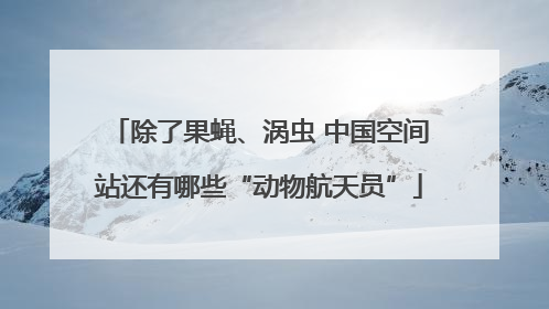 除了果蝇、涡虫 中国空间站还有哪些“动物航天员”