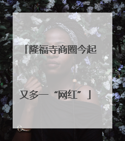 隆福寺商圈今起又多一“网红”