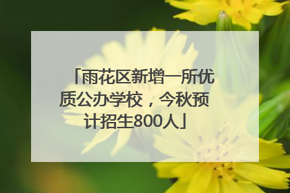 雨花区新增一所优质公办学校，今秋预计招生800人