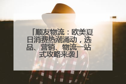 顺友物流：欧美夏日消费热潮涌动，选品、营销、物流一站式攻略来袭