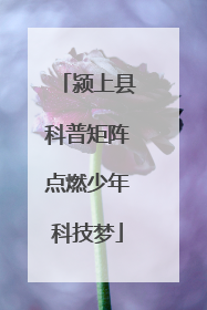 颍上县科普矩阵点燃少年科技梦