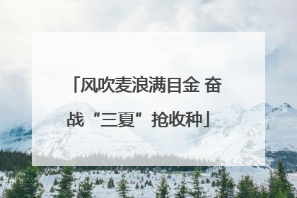 风吹麦浪满目金 奋战“三夏”抢收种