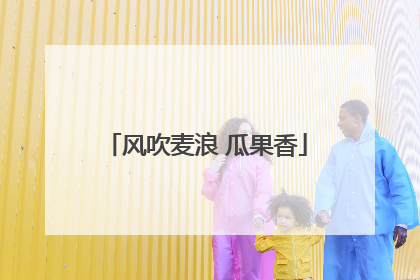 风吹麦浪 瓜果香