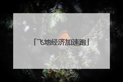 飞地经济加速跑