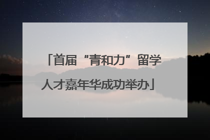 首届“青和力”留学人才嘉年华成功举办