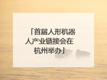 首届人形机器人产业链接会在杭州举办