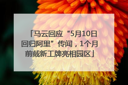 马云回应“5月10日回归阿里”传闻，1个月前戴新工牌亮相园区