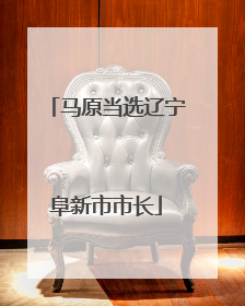 马原当选辽宁阜新市市长