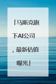 马斯克旗下AI公司，最新估值曝光
