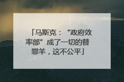 马斯克：“政府效率部”成了一切的替罪羊，这不公平
