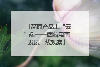 高原产品上“云”端——西藏电商发展一线观察