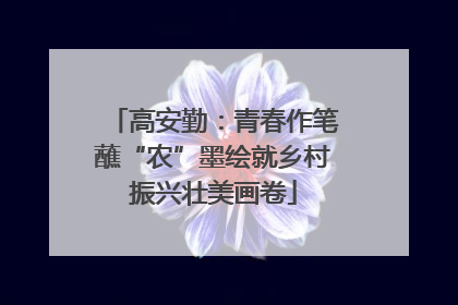 高安勤：青春作笔蘸“农”墨绘就乡村振兴壮美画卷