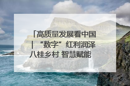高质量发展看中国｜“数字”红利润泽八桂乡村 智慧赋能绘就振兴画卷