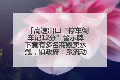 高速出口“停车倒车记12分”警示牌下竟有多名商贩卖水瓢，镇政府：系流动摊位，已多次劝离