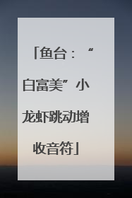 鱼台：“白富美”小龙虾跳动增收音符