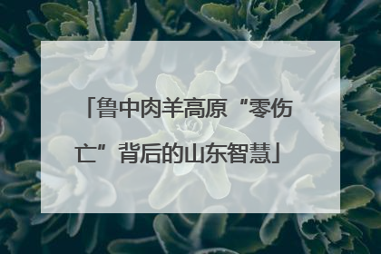 鲁中肉羊高原“零伤亡”背后的山东智慧