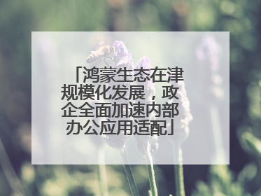鸿蒙生态在津规模化发展，政企全面加速内部办公应用适配